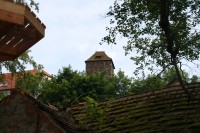 /album/fotogalerie-lanovy-park-/img-2288-jpg/